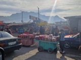 Birding the road from Kabul to Jalalabad