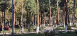 Birding Kabul, Afghanistan – 10,000 Birds