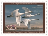 Duck Stamp Conservation 2023 – 10,000 Birds