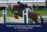 Finding the Ideal Horse Training Program for Your Riding Goals