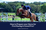 How to Prepare Your Horse for First Racing in Grand Prix?