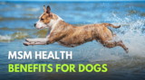 health benefits and when to use it – Dr. Dobias Natural Healing