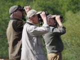 Binocular snobbery – 10,000 Birds