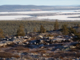 Lapland Adventure – 10,000 Birds