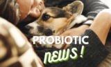 How probiotic bacteria shape your gut microbiome and o – Dr. Dobias Natural Healing