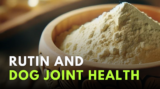 Rutin and dog joint health – Dr. Dobias Natural Healing