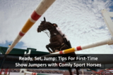 Tips For First-Time Show Jumpers with Comly Sport Horses