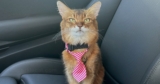 First Therapy Cat Visit of 2024