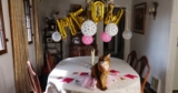 My 10th Birthday Party – Summer’s Fabulous Cat Life