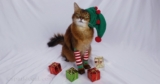 My All-New, All-Fun Holiday Gift Guide for Cats and Cat Lovers!