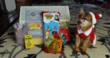 My 2023 Catastic Holiday Giveaway!