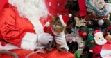 My Santa Claws Visit…and Shopping Day