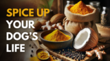 Want to Spice Up Your Dog’s Life? – Dr. Dobias Natural Healing