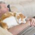 This Month’s Funniest Outtakes – Summer’s Fabulous Cat Life