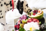 The ultimate guide to safe and nutritious fruits for dogs