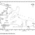 Cats and Snow: A Study in Feline Enrichment